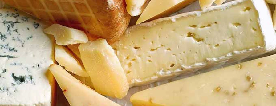 Dairy Product